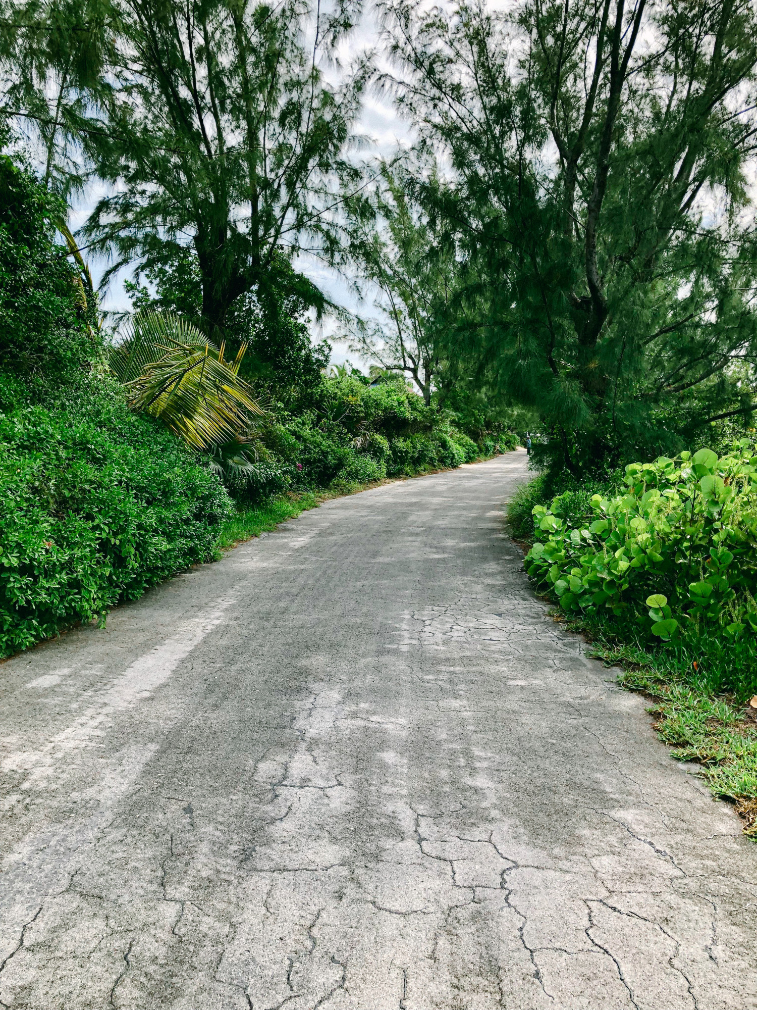 a road in the bahamas